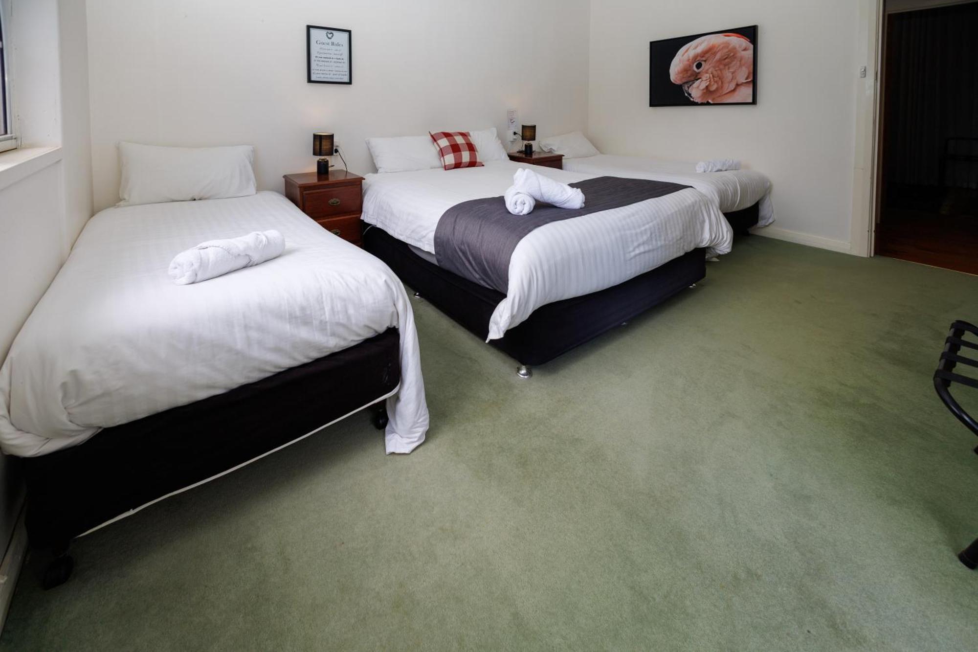 Big4 Cape Jervis Accommodation & Caravan Park מראה חיצוני תמונה